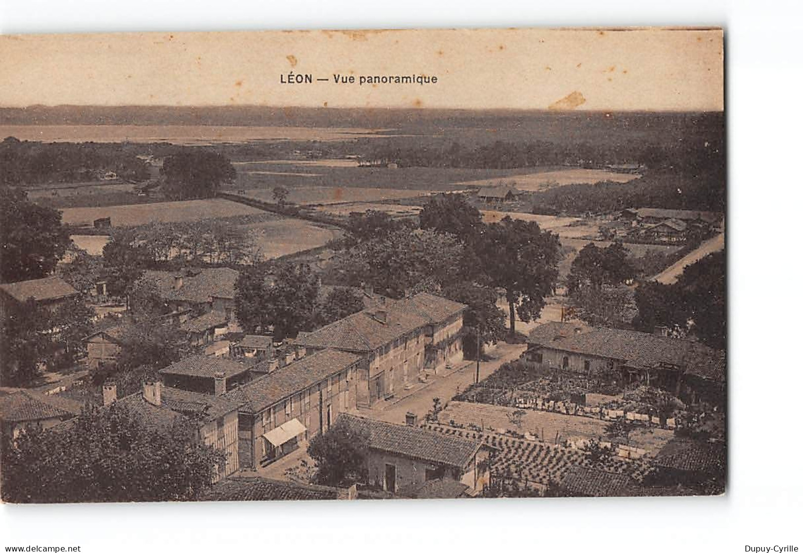 LEON - Vue Panoramique - Très Bon état - Autres & Non Classés