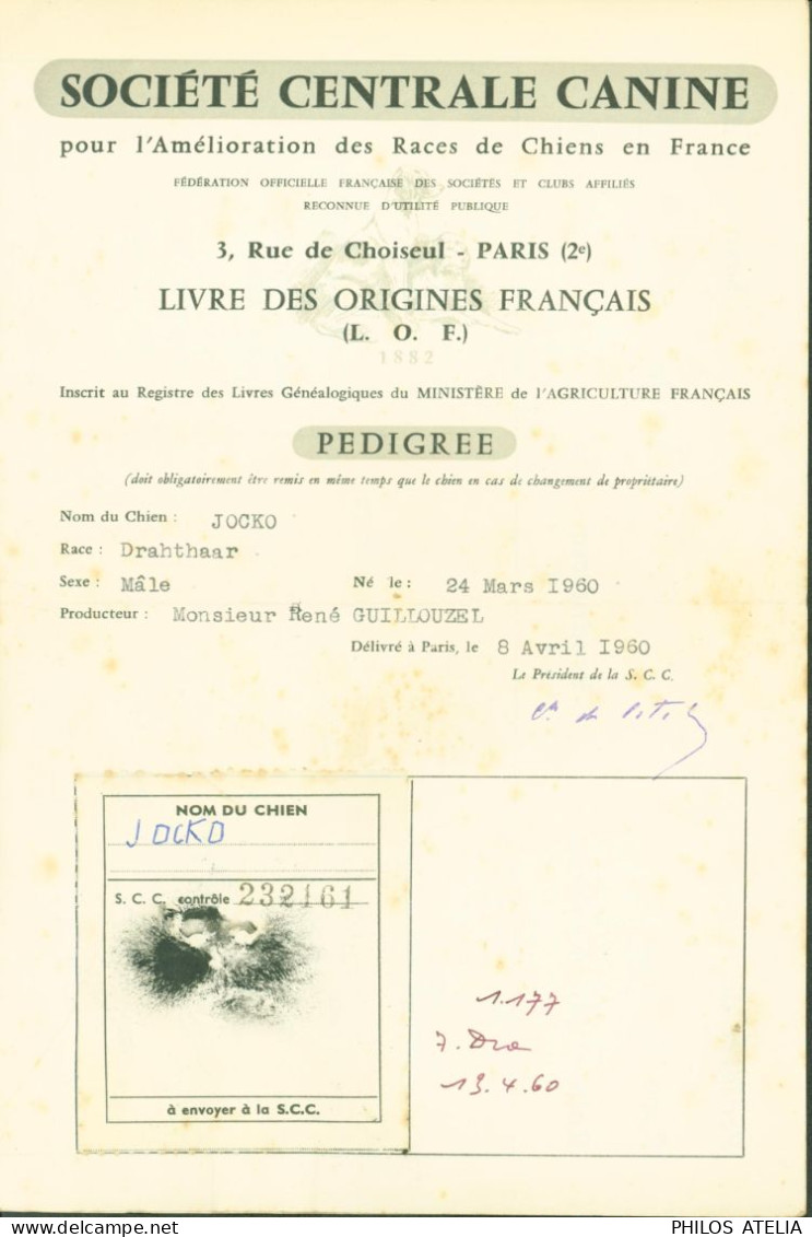 Société Centrale Canine Cachet à Sec Pedigree Chien Drahthaar 1960 - Diploma & School Reports