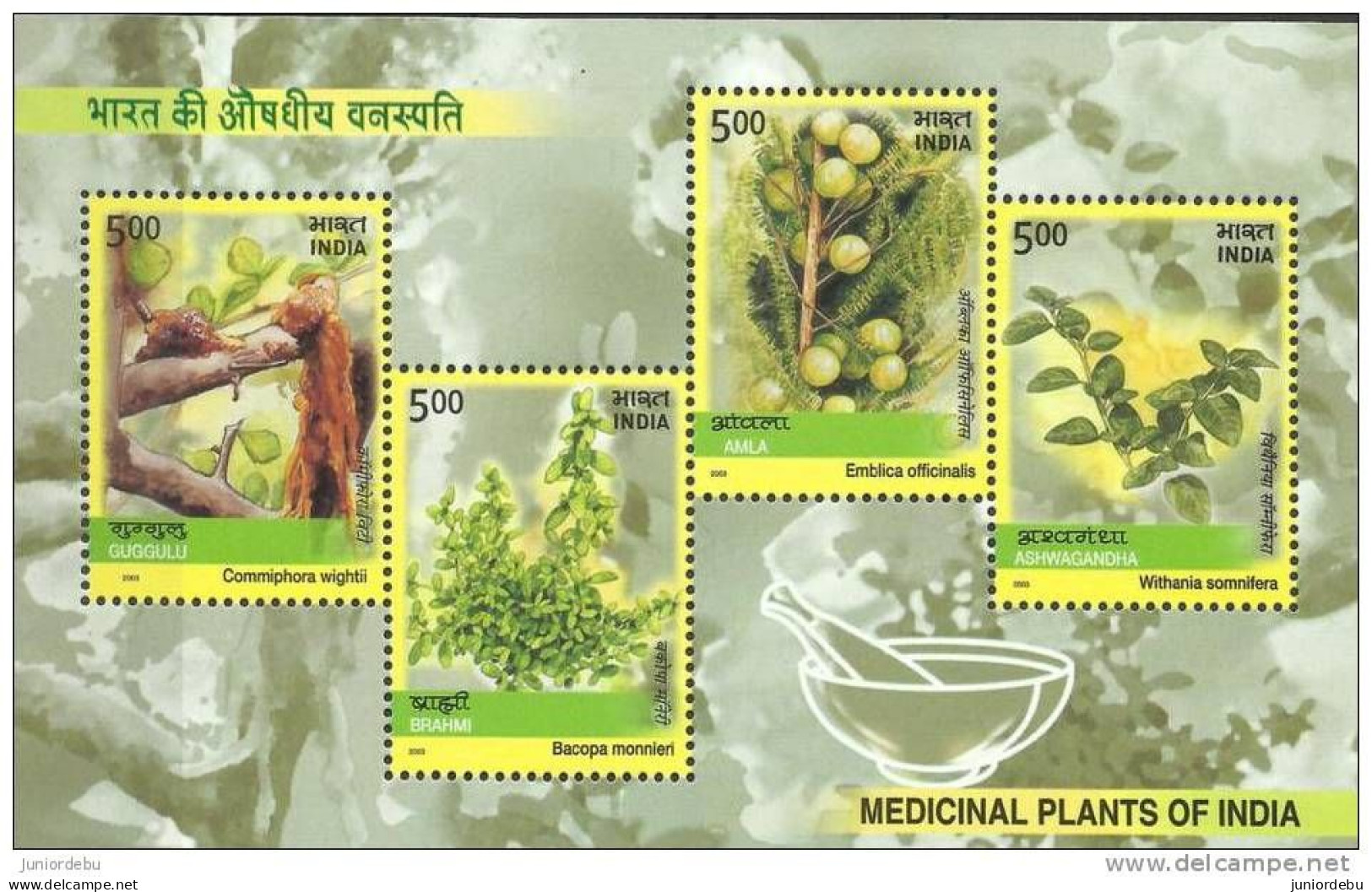 INDIA -  2003 - Medicinal Plants  - MNH - Miniature Sheet. ( OL 24/04/2013) - Unused Stamps