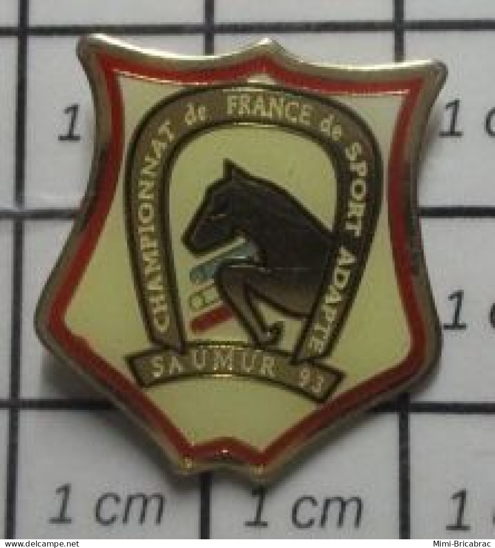 1618c Pin's Pins / Beau Et Rare / SPORTS / EQUITATION FER CHEVAL SAUMUR SPORT ADAPTE CHAMPIONNAT DE FRANCE - Sonstige & Ohne Zuordnung