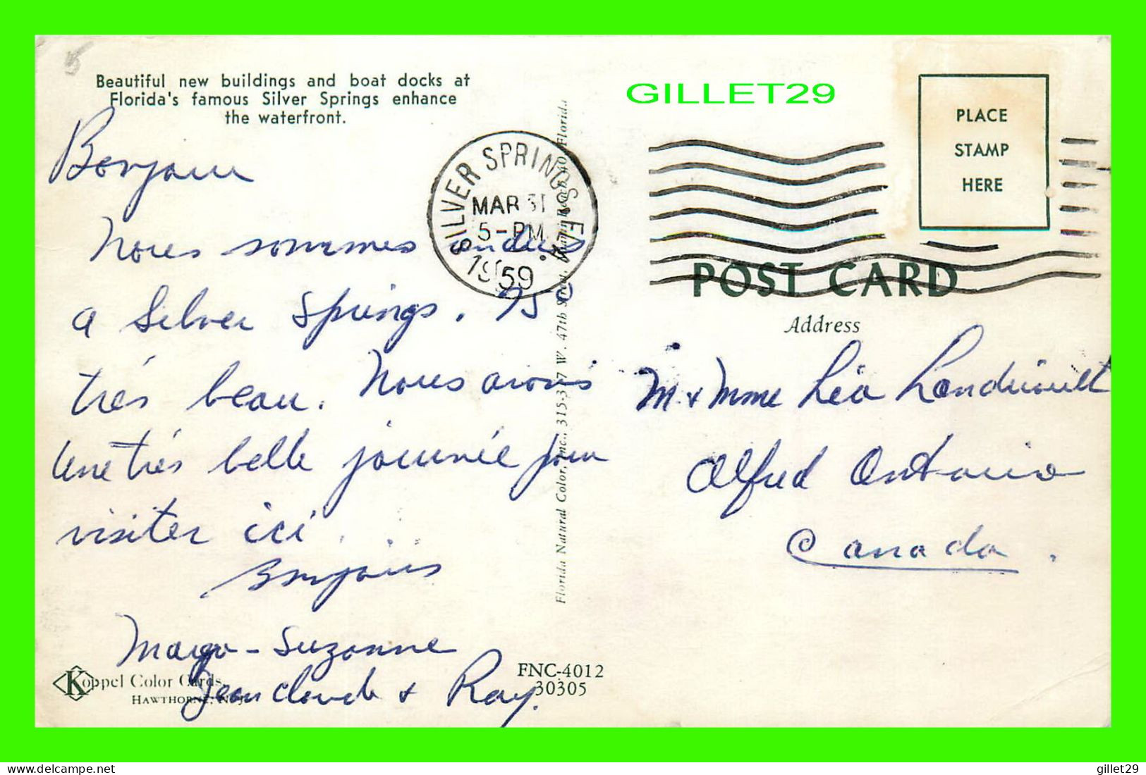 SIVER SPRINGS, FL -  BOAT DOCKS - TRAVEL IN 1959 - KOPPEL COLOR CARDS - JUNGLE CRUISE - - Silver Springs