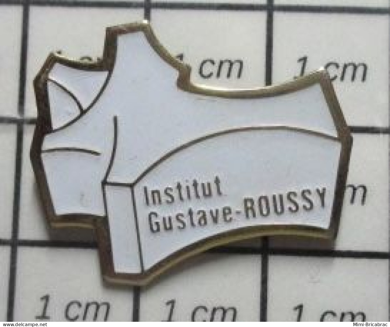 912e Pins Pin's / Rare & Belle Qualité MEDICAL / INSTITUT GUSTAVE ROUSSY Variante BLANCHE - Medici