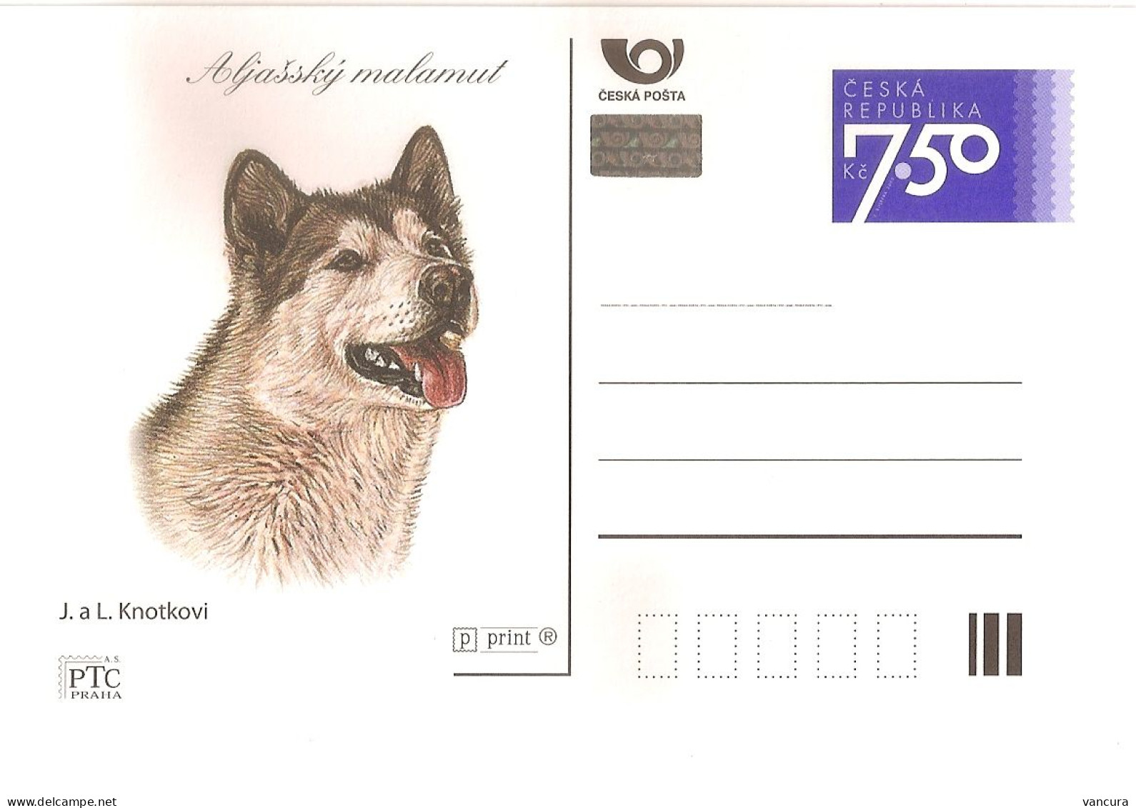 CDV B 555 (1,2) Czech Republic Malamut And Chihuahua Dogs 2006 - Hunde