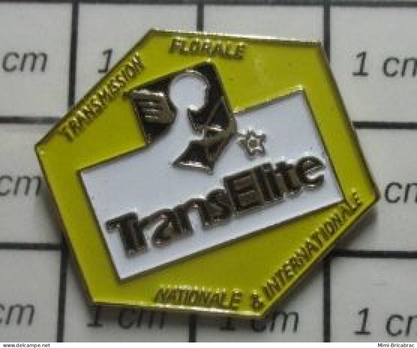 912e Pin's Pins / Beau Et Rare / MARQUES / TRANSELITE TRANSMISSION FLORALE NATIONALE ET INTERNATIONALE - Marcas Registradas