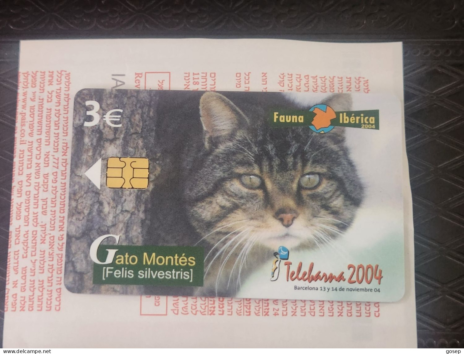 SPAIN-(P557)-GATO MONTES-FAUNA IBERICA(1)-(Y-11049140)-(9/04)(18370)-tirage-4.500-used Card+1 Card Prepiad Free - Private Issues