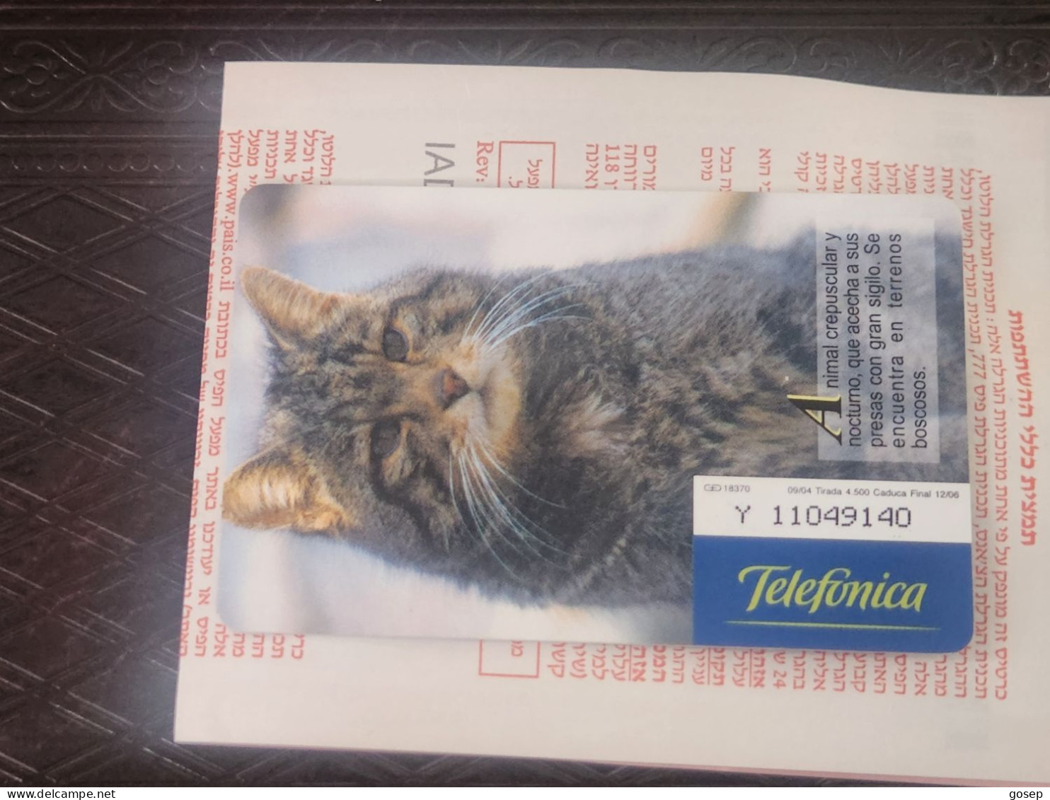 SPAIN-(P557)-GATO MONTES-FAUNA IBERICA(1)-(Y-11049140)-(9/04)(18370)-tirage-4.500-used Card+1 Card Prepiad Free - Emissions Privées