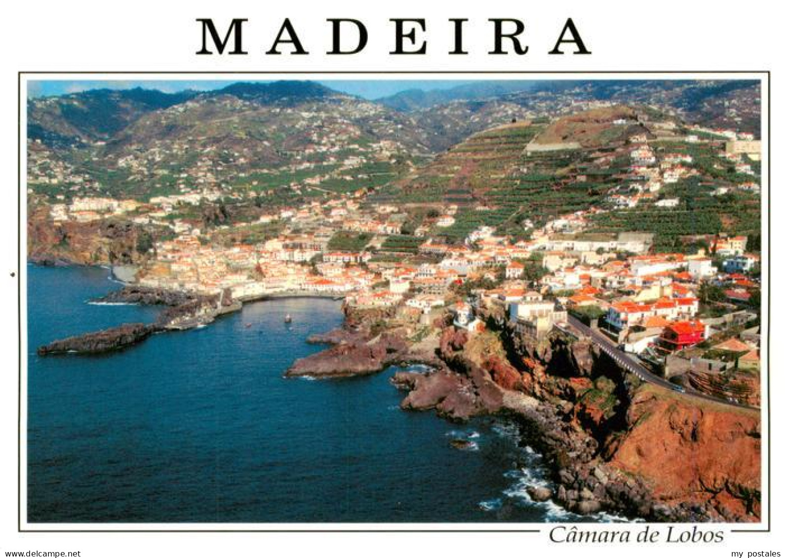 73946151 Camara_de_Lobos_Madeira_Portugal Fliegeraufnahme - Sonstige & Ohne Zuordnung