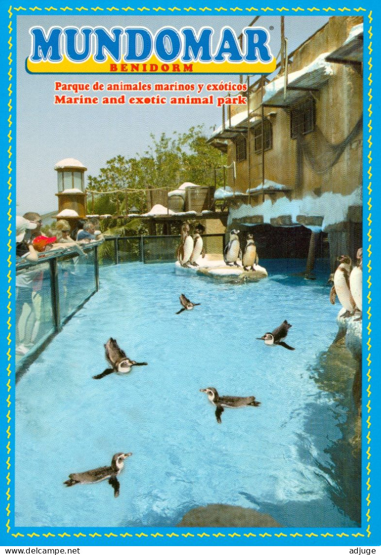 CPM- BENIDORM- Mundomar - Parque De Animales Marinos Y Exoticos *TBE * Cf. Scans * - Autres & Non Classés