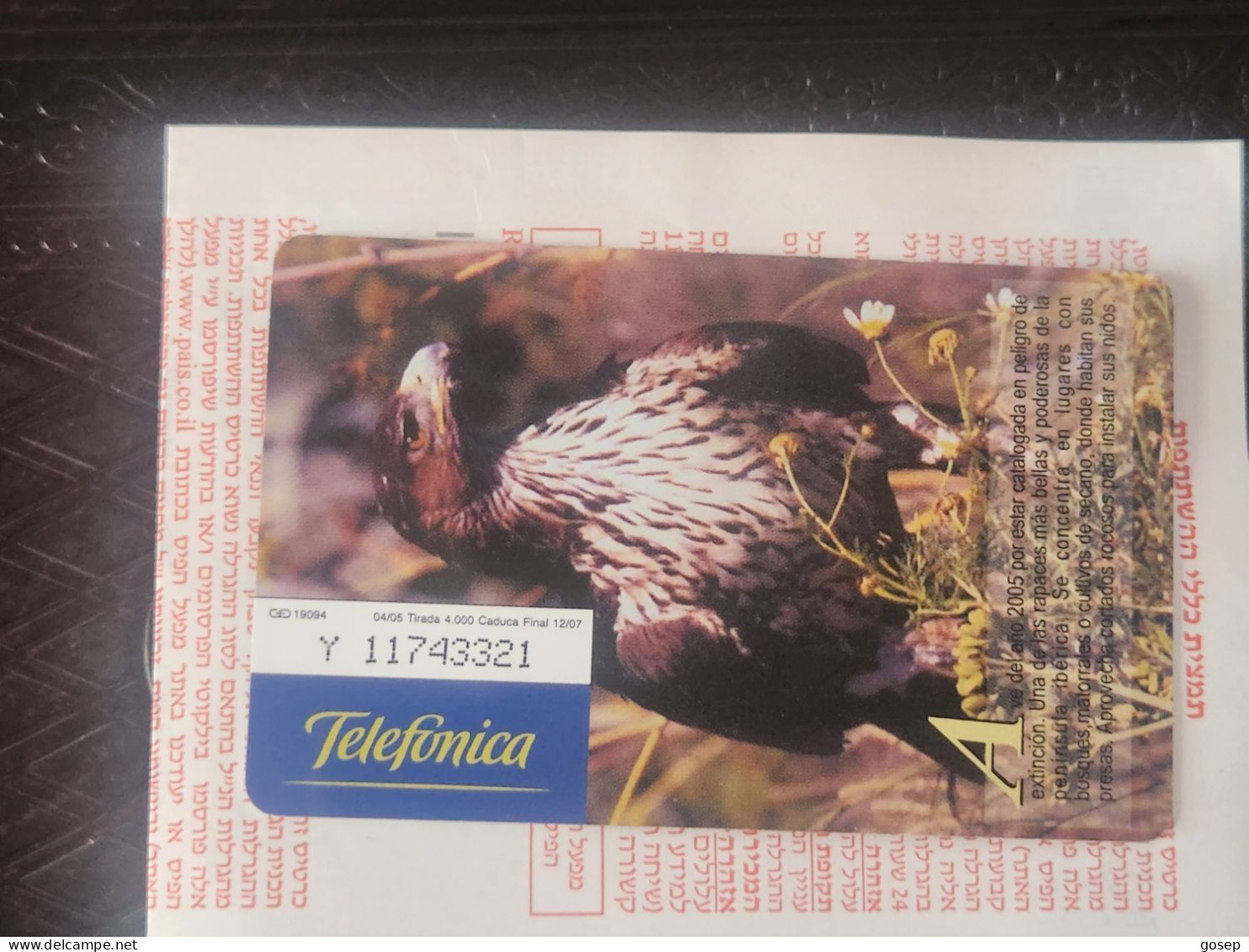 SPAIN-(P564)-AGUILA PERDICERA-FAUNA IBERICA(2)-(Y-11743321)-(4/05)(19094)-tirage-4.000-used Card+1 Card Prepiad Free - Privé-uitgaven