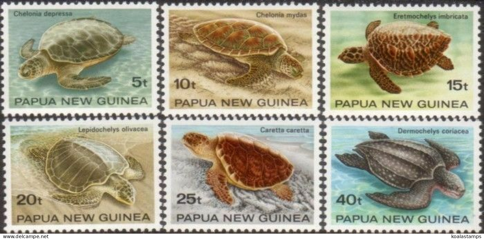 Papua New Guinea 1984 SG472-477 Turtles Set MNH - Papouasie-Nouvelle-Guinée