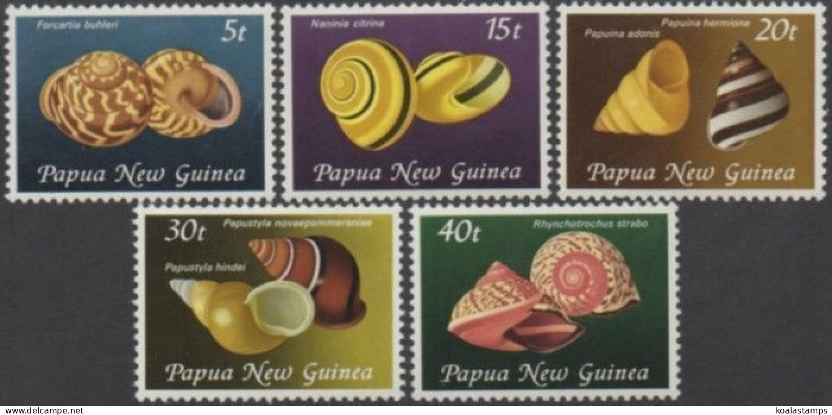 Papua New Guinea 1981 SG421-425 Land Snail Shells Set MNH - Papouasie-Nouvelle-Guinée