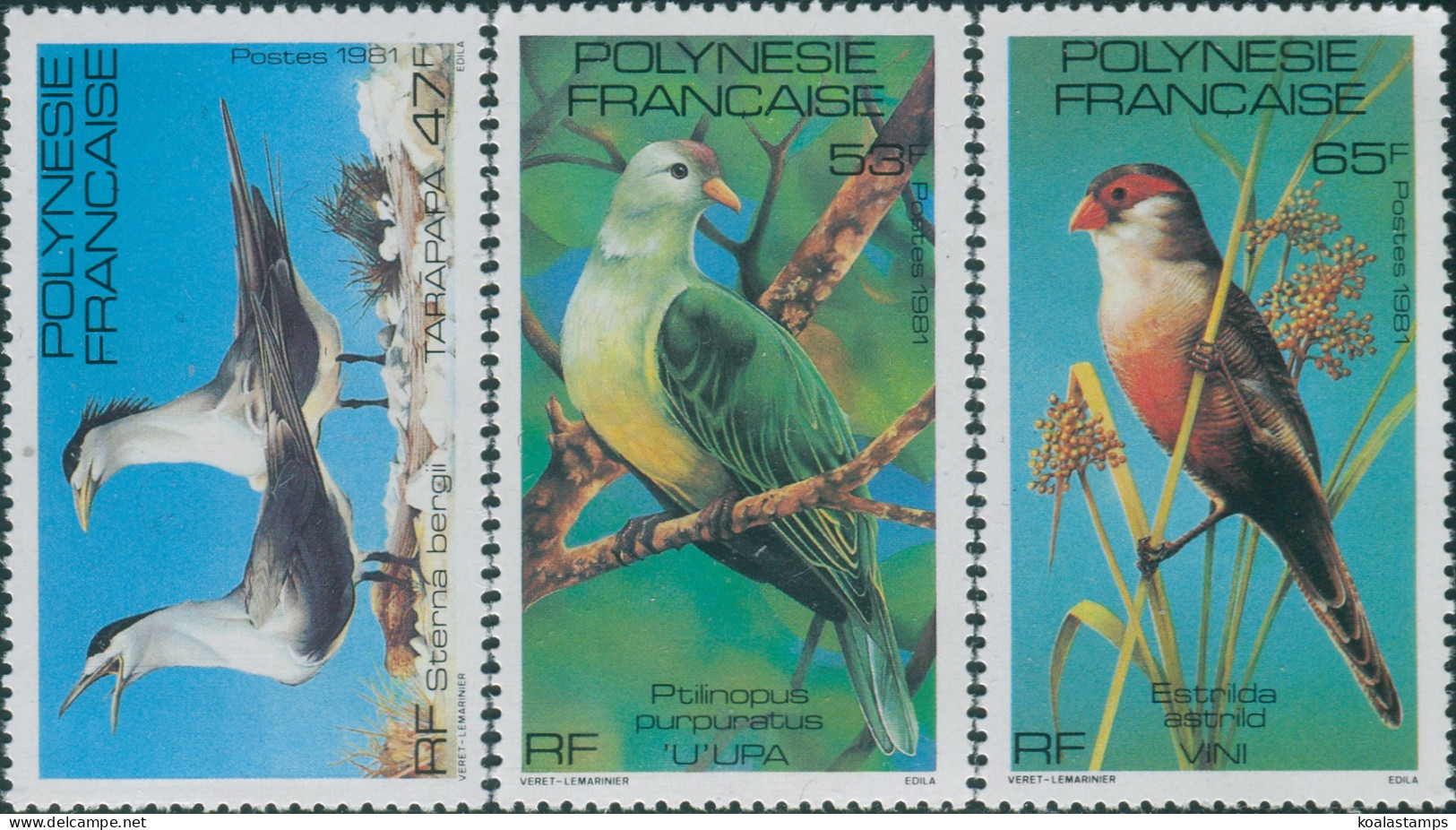 French Polynesia 1981 Sc#349-351,SG350-352 Birds Set MNH - Sonstige & Ohne Zuordnung