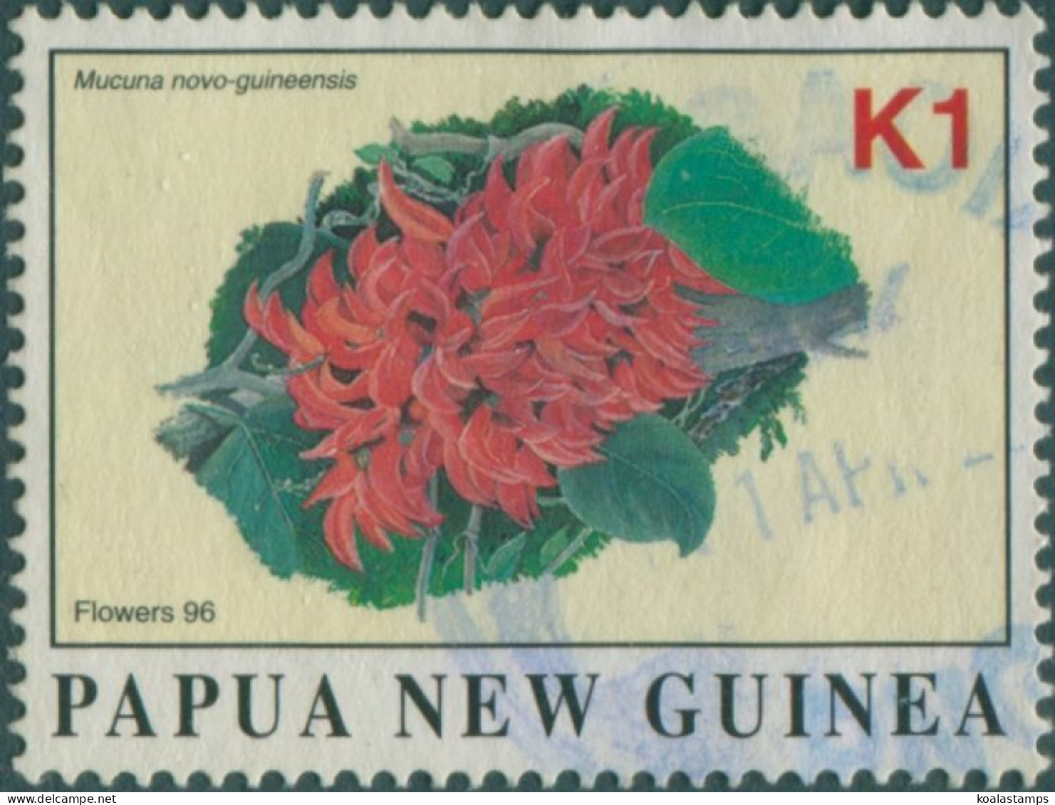 Papua New Guinea 1996 SG802 K1 Flower FU - Papouasie-Nouvelle-Guinée