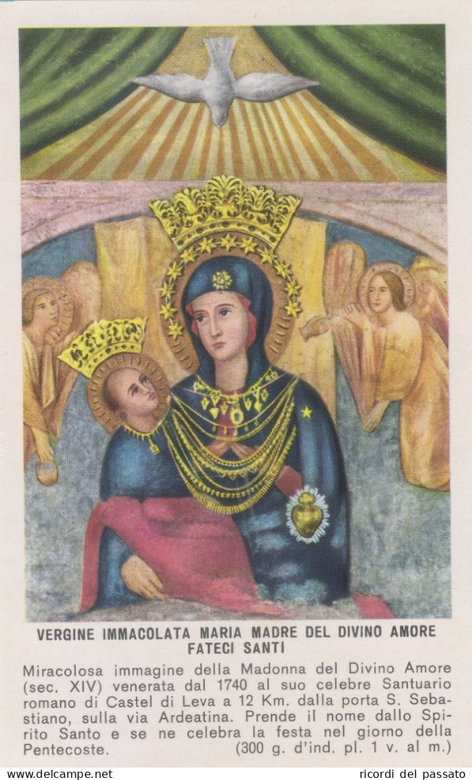 Santino Vergine Immacolata Maria Madre Del Divino Amore - Andachtsbilder
