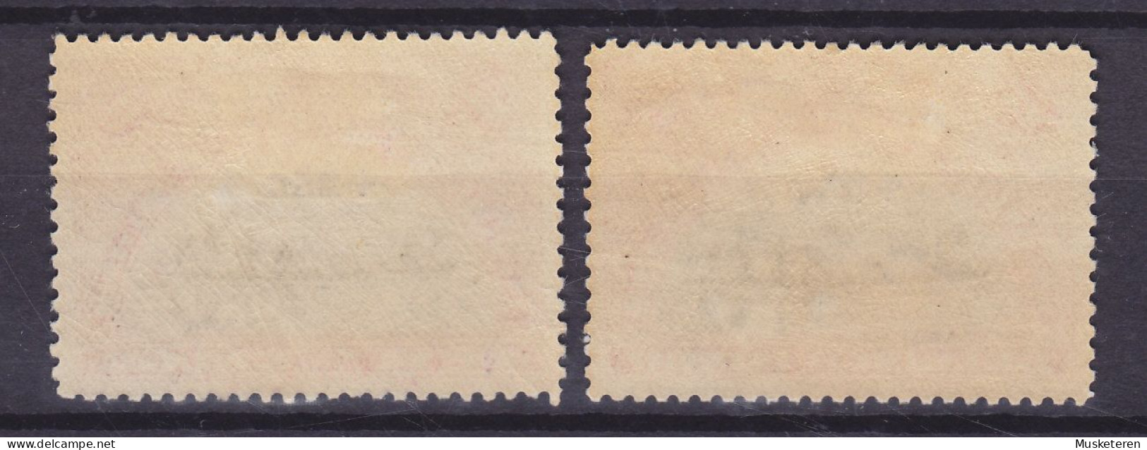 Belgian Congo 1925 Mi. 82-83, Kinshasa-Denkmal Complete Set, MH* (2 Scans) - Unused Stamps