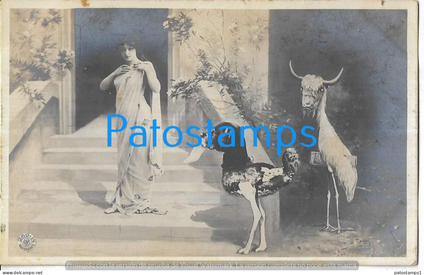 229043 REAL PHOTO WOMAN DOG AND BULL WITH THE BODY OF A BIRD RARE POSTAL POSTCARD - Photographs