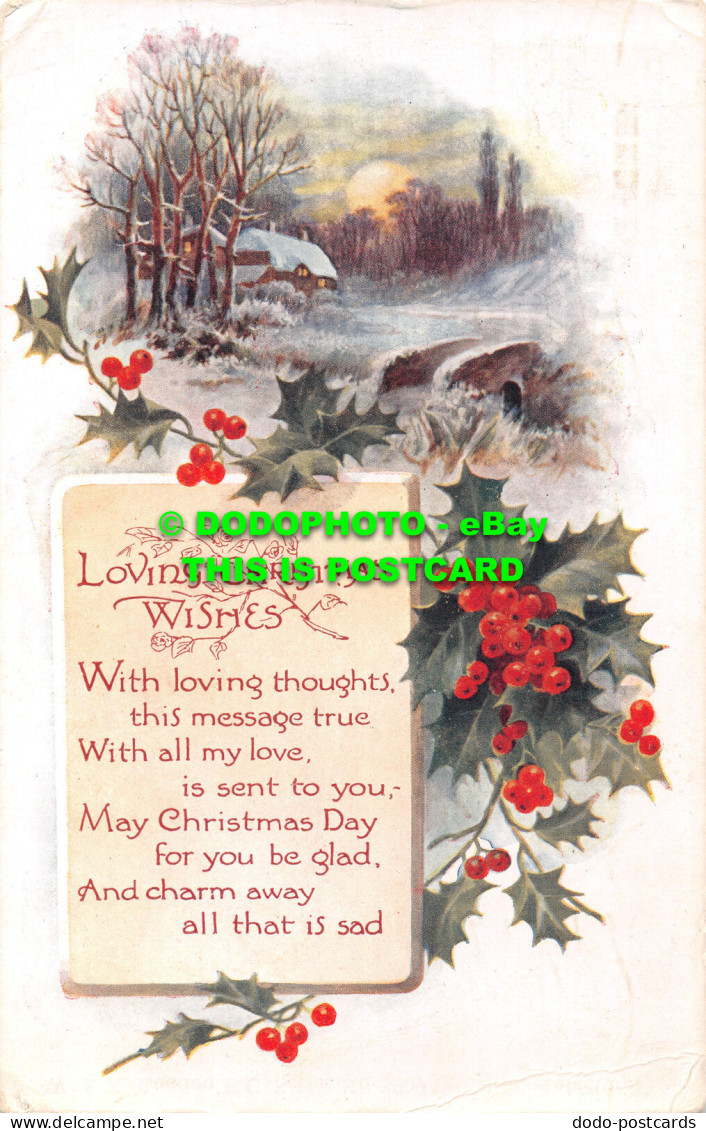 R466727 Loving Christmas Wishes. Winter. W. And K. Series No. 3909 - World