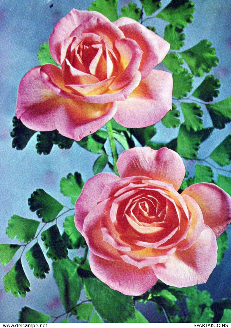 FIORI Vintage Cartolina CPSM #PAS141.A - Fleurs
