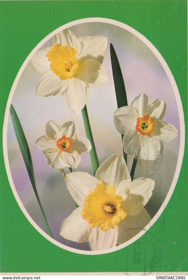 FIORI Vintage Cartolina CPSM #PAR025.A - Fleurs