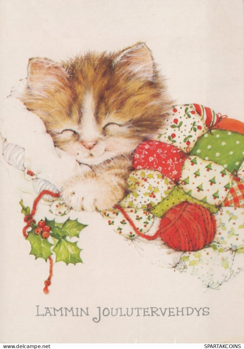 CAT KITTY Animals Vintage Postcard CPSM #PAM581.A - Katzen