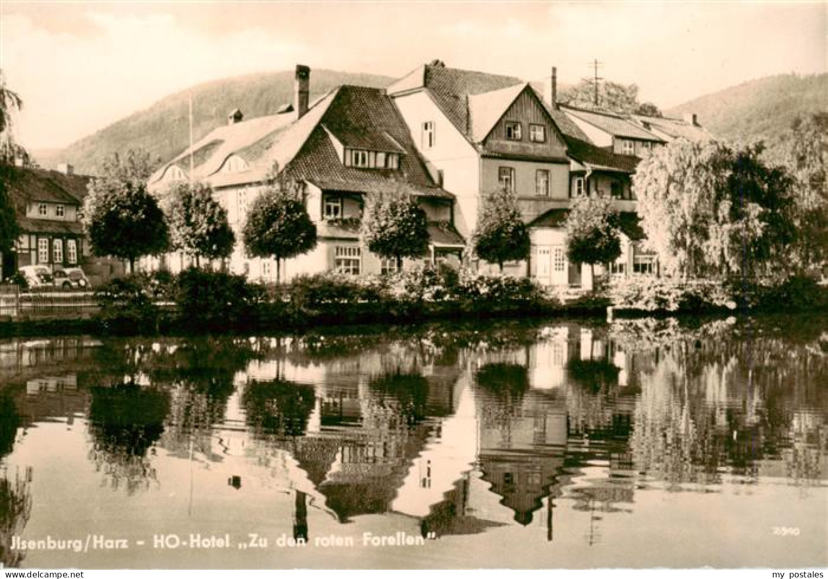 73904983 Ilsenburg Harz HO Hotel Zu Den Roten Forellen - Ilsenburg