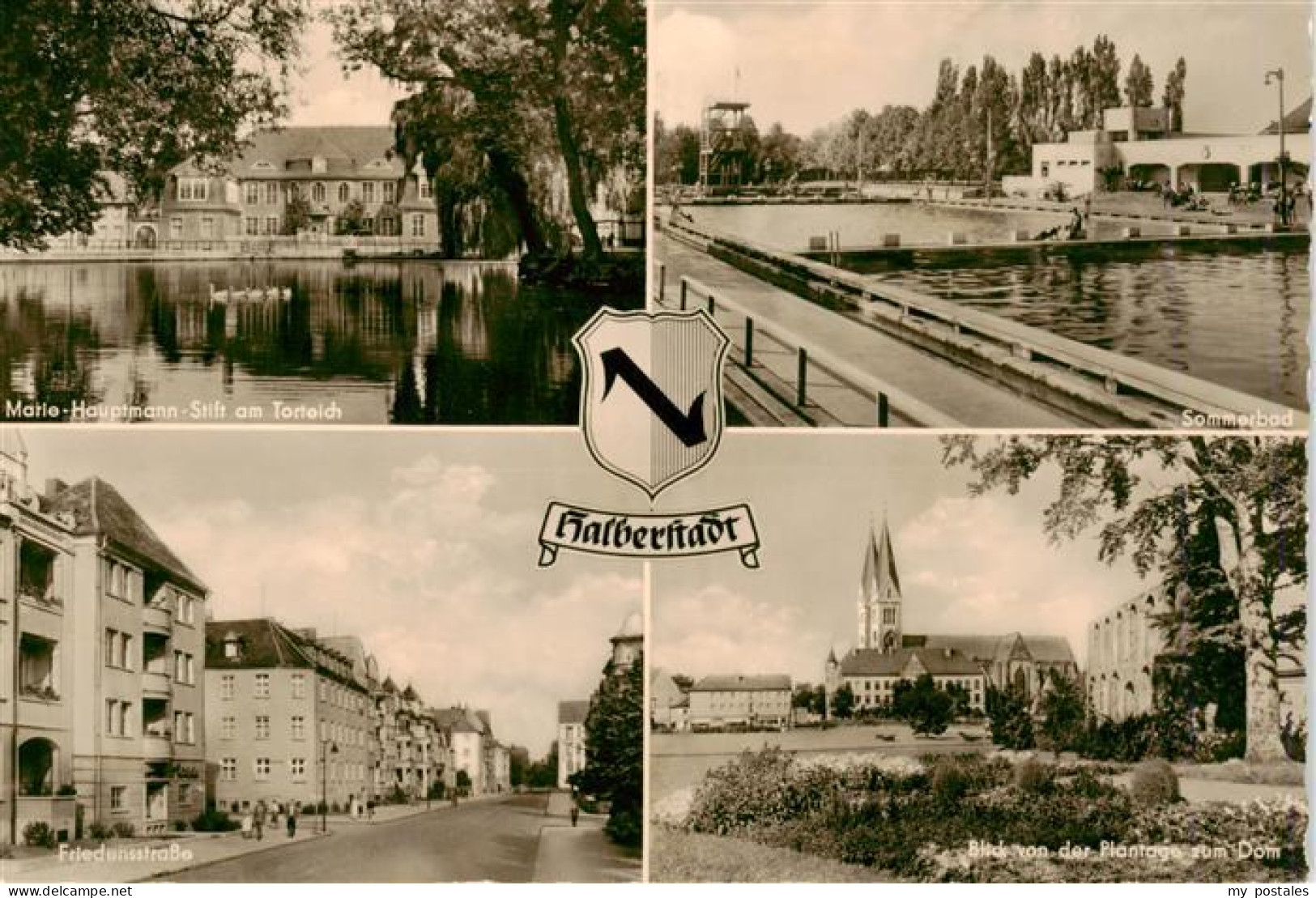 73904979 Halberstaedter See Halberstadt Marie Hauptmann Stift Am Torteich Sommer - Halberstadt