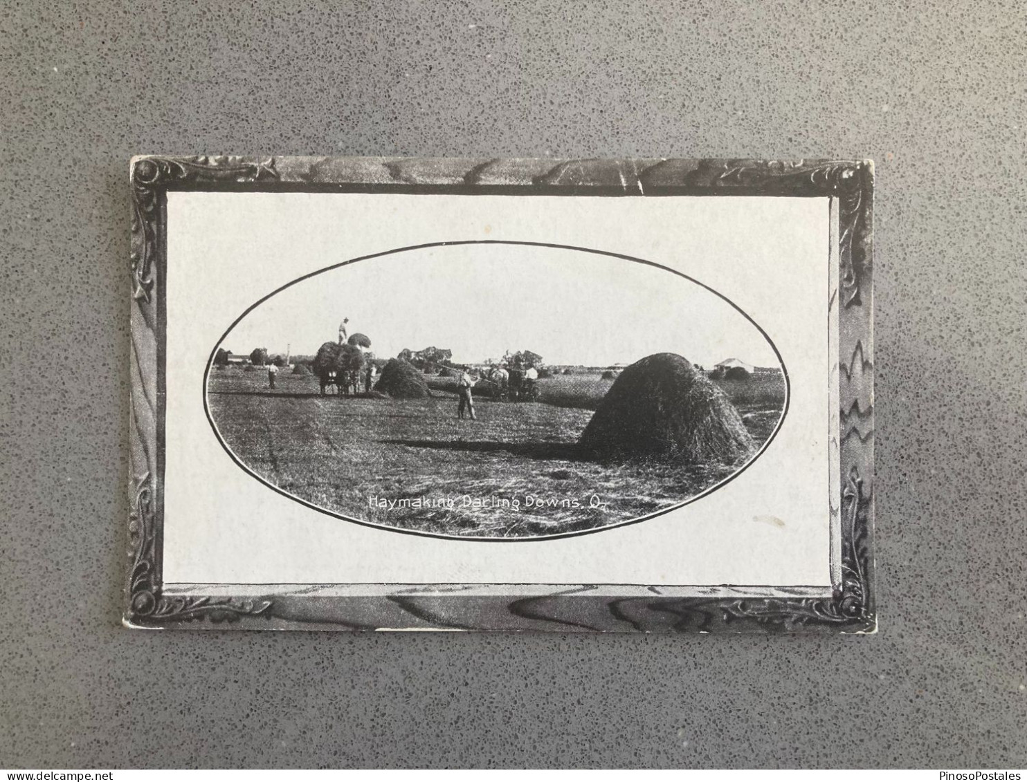 Haymaking Darling Downs Queensland Carte Postale Postcard - Sonstige & Ohne Zuordnung