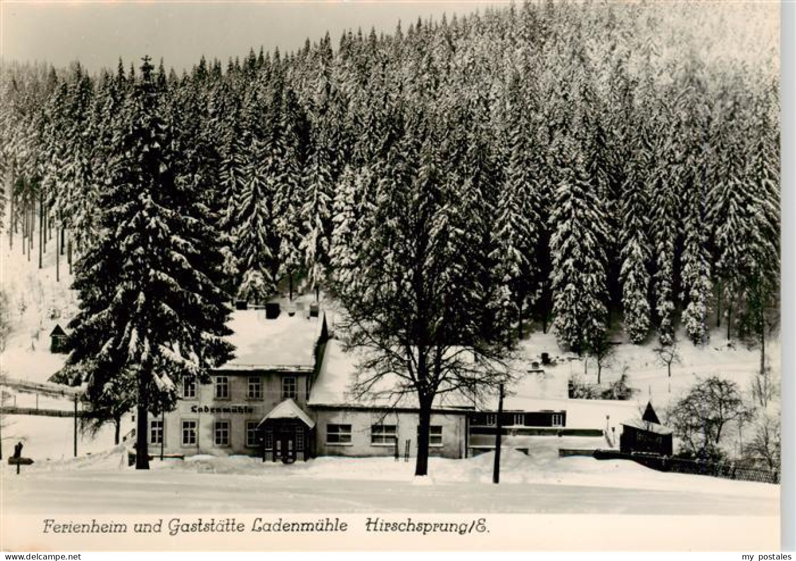 73904842 Hirschsprung Ferienheim Und Gaststaette Ladenmuehle Handabzug - Altenberg