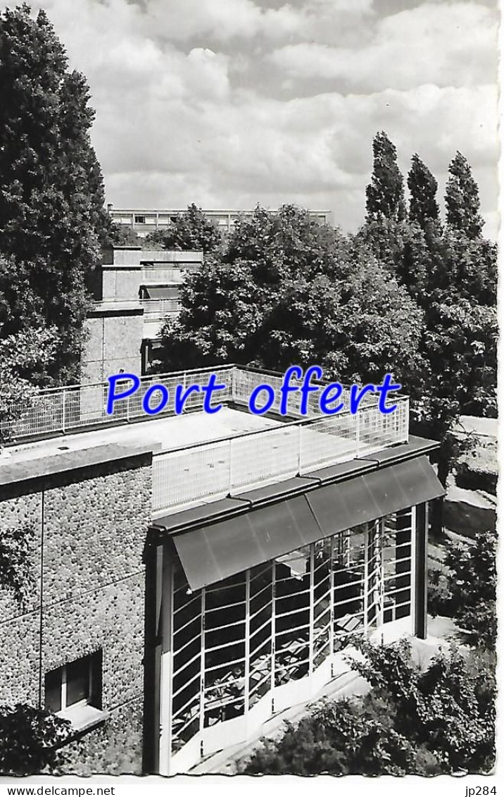 92 - Suresnes - Ecole De Plein Air De Suresnes - Les Classes Vues De La Terrasse - Suresnes