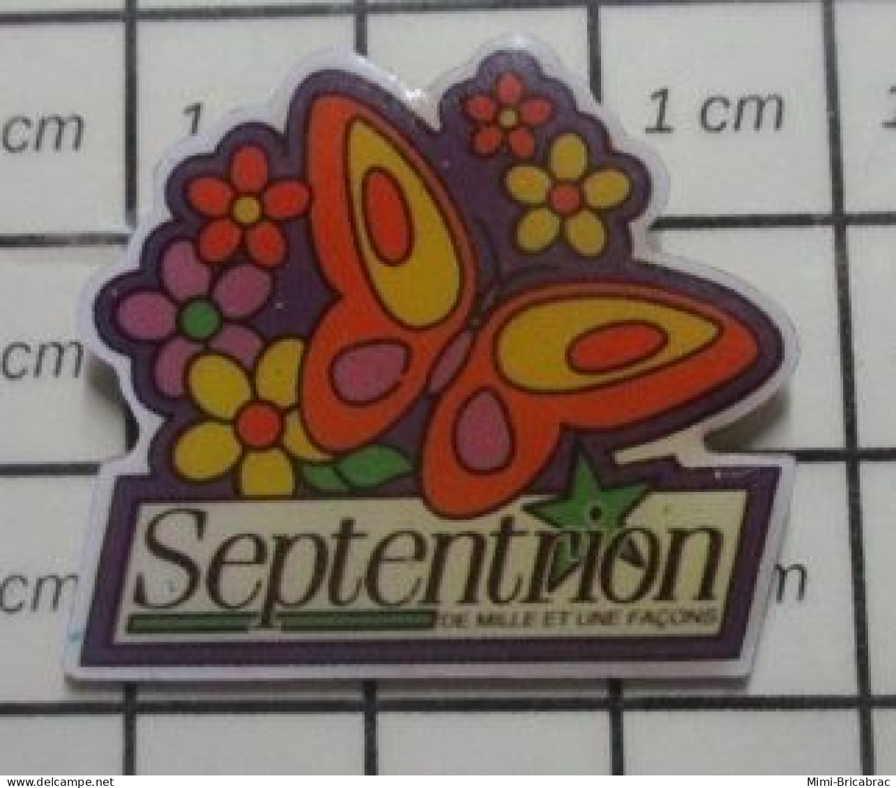 511A Pin's Pins / Beau Et Rare / MARQUES  / SEPTENTRION BEAUX-ARTS PAPILLON DE MILLE ET UNE FACON Mais Pas Celle Là ! - Trademarks