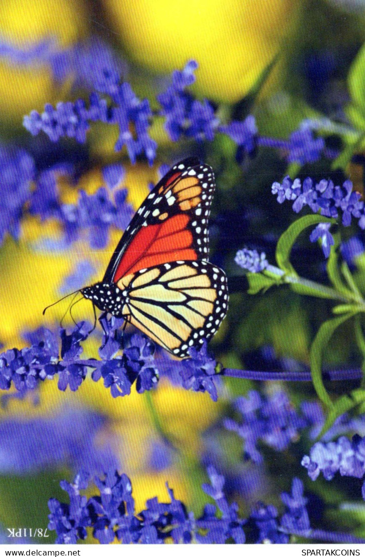 SCHMETTERLINGE Tier Vintage Ansichtskarte Postkarte CPSM #PBS429.A - Schmetterlinge