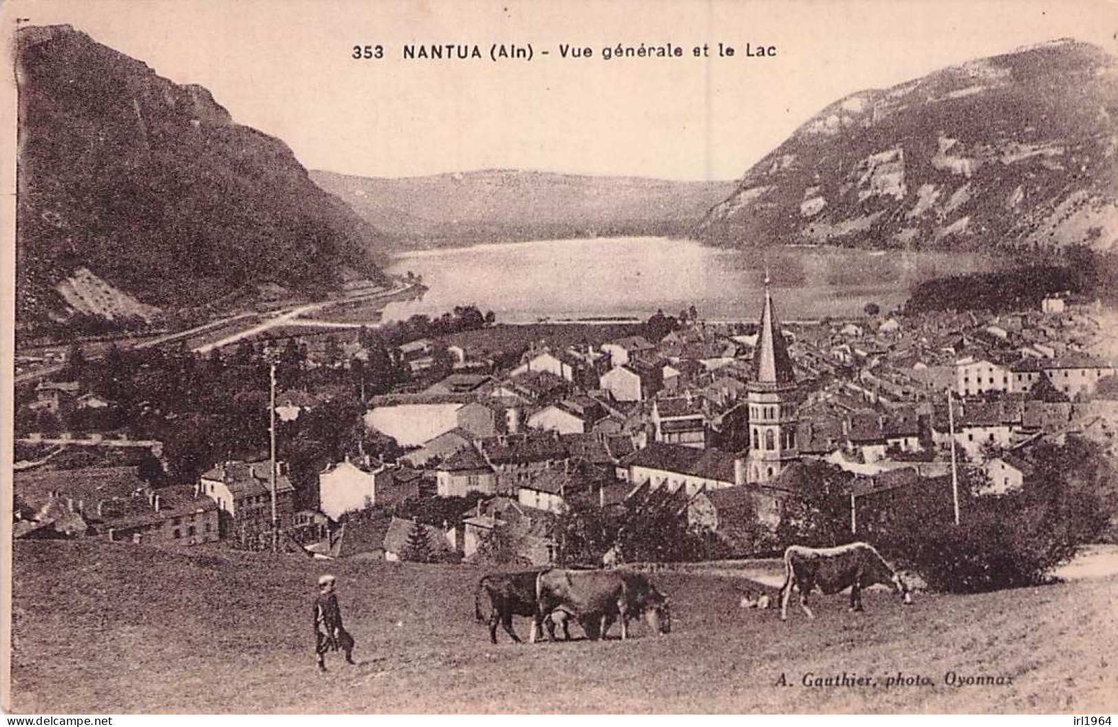 NANTUA VUE GENERALE ET LE LAC - Nantua