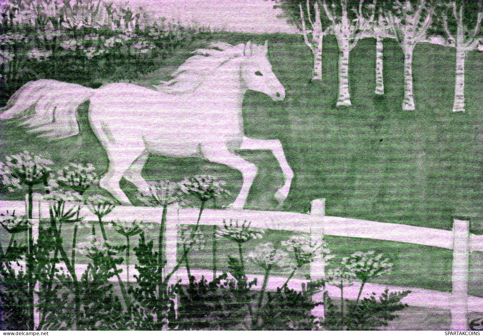 CAVALLO Animale Vintage Cartolina CPSM #PBR886.A - Pferde