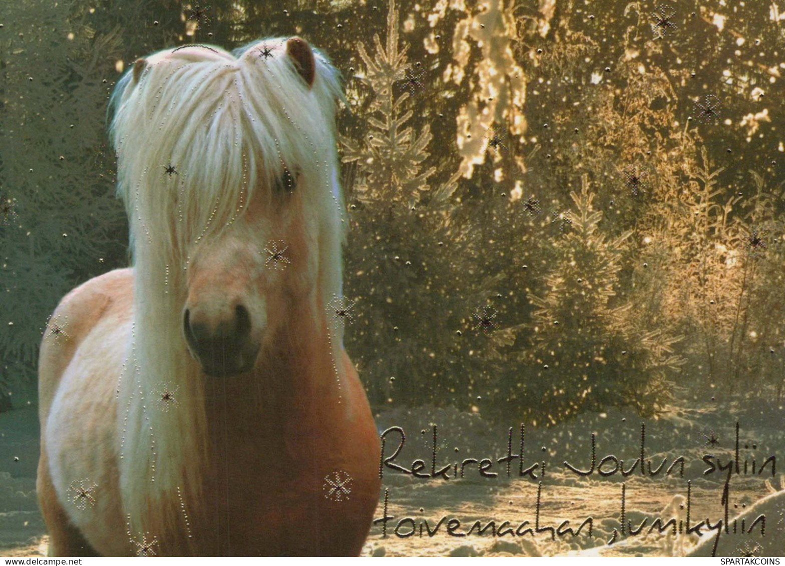 CHEVAL Animaux Vintage Carte Postale CPSM #PBR902.A - Pferde