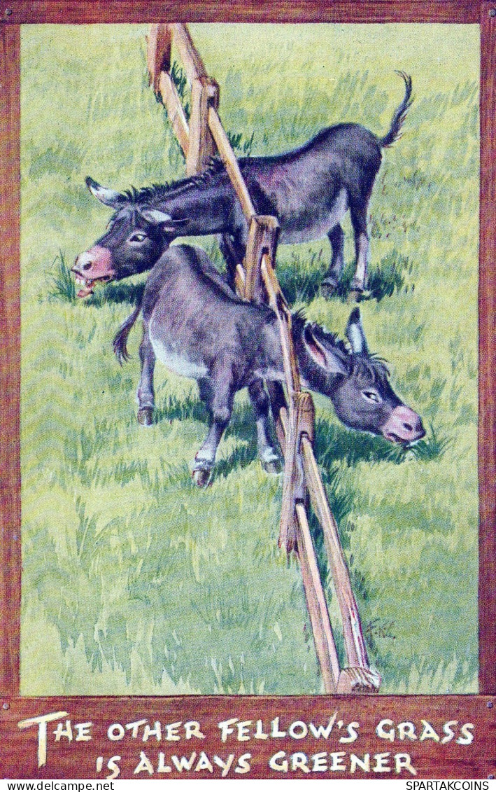 DONKEY Animals Vintage Antique Old CPA Postcard #PAA154.A - Donkeys
