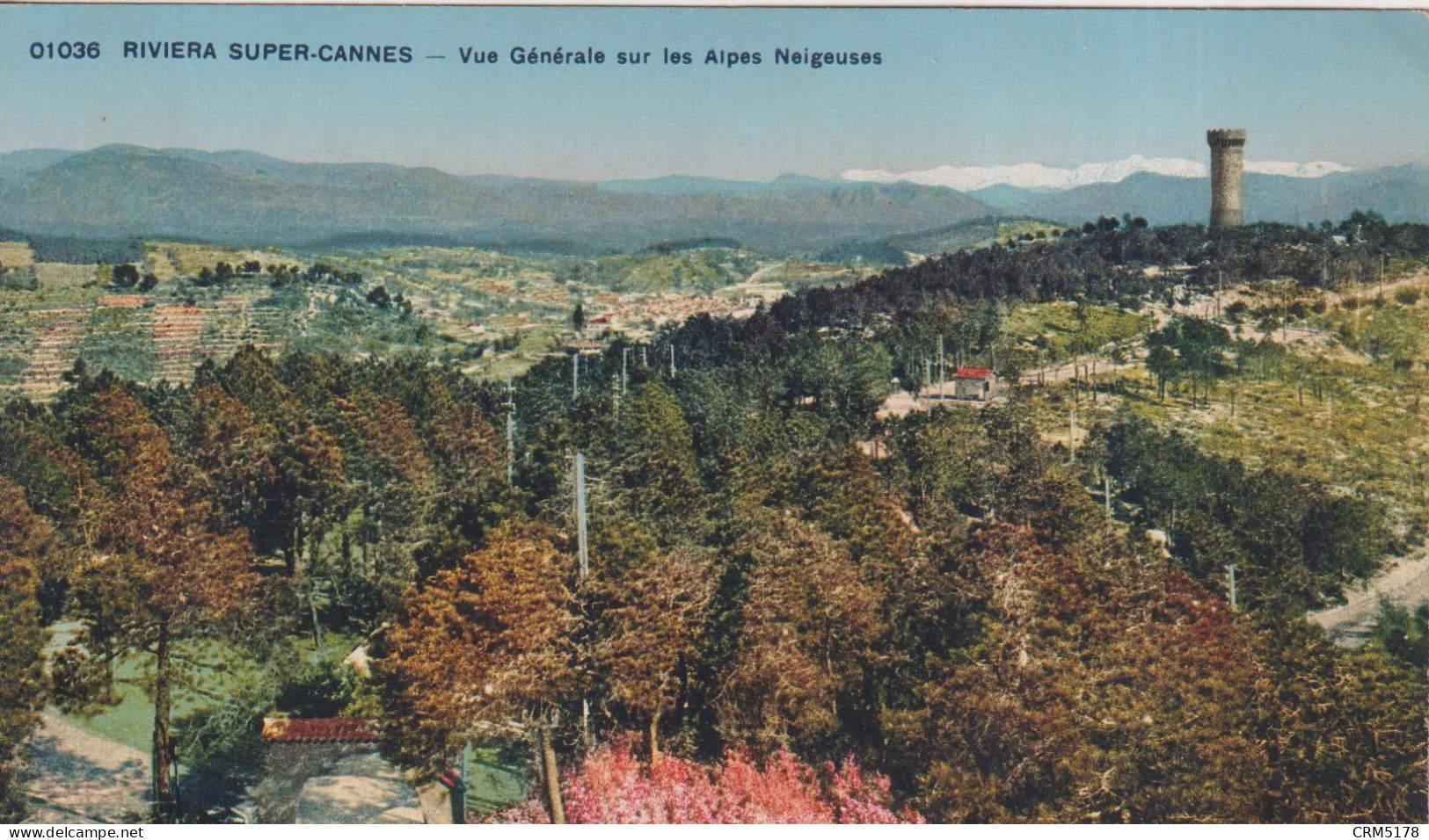 CPSM-RIVIERA SUPER-CANNES-VUE GENERALE SUR LES ALPES NEIGEUSES - Cannes