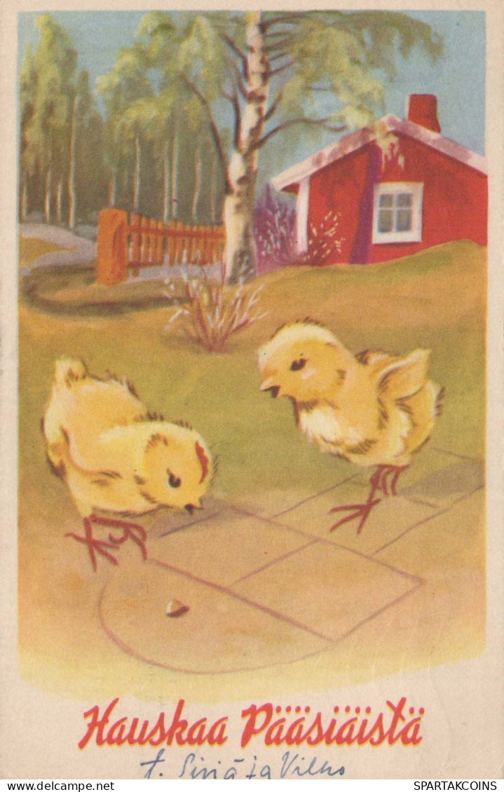 PÂQUES POULET ŒUF Vintage Carte Postale CPA #PKE099.A - Ostern