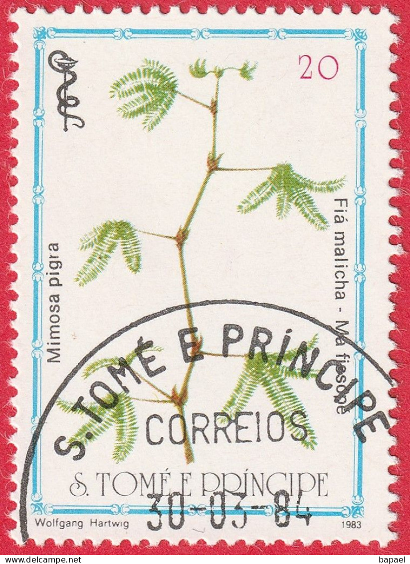 N° Yvert & Tellier 761 - Sao Tomé-et-Principe (1983) (Oblitéré) - Plantes Médicinales ''Mimosa Pigra'' - Sao Tome And Principe