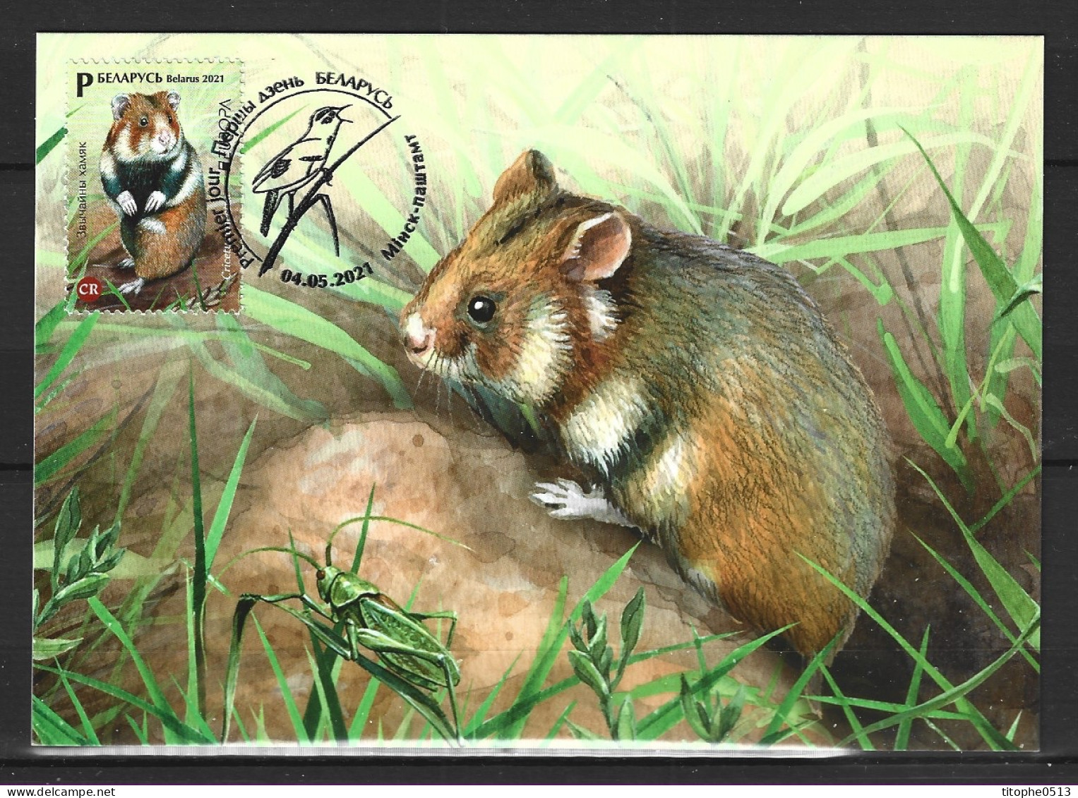 BIELORUSSIE. N°1182 De 2021 Sur Carte Maximum. Hamster. - Nager