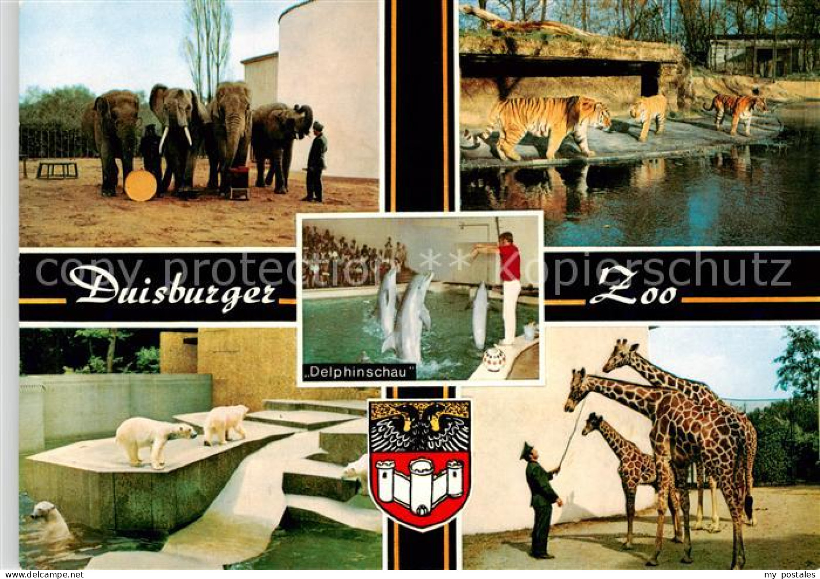 73866059 Duisburg  Ruhr Zoo Duisburg Eisbaeren Elefanten Giraffen Tiger  - Duisburg