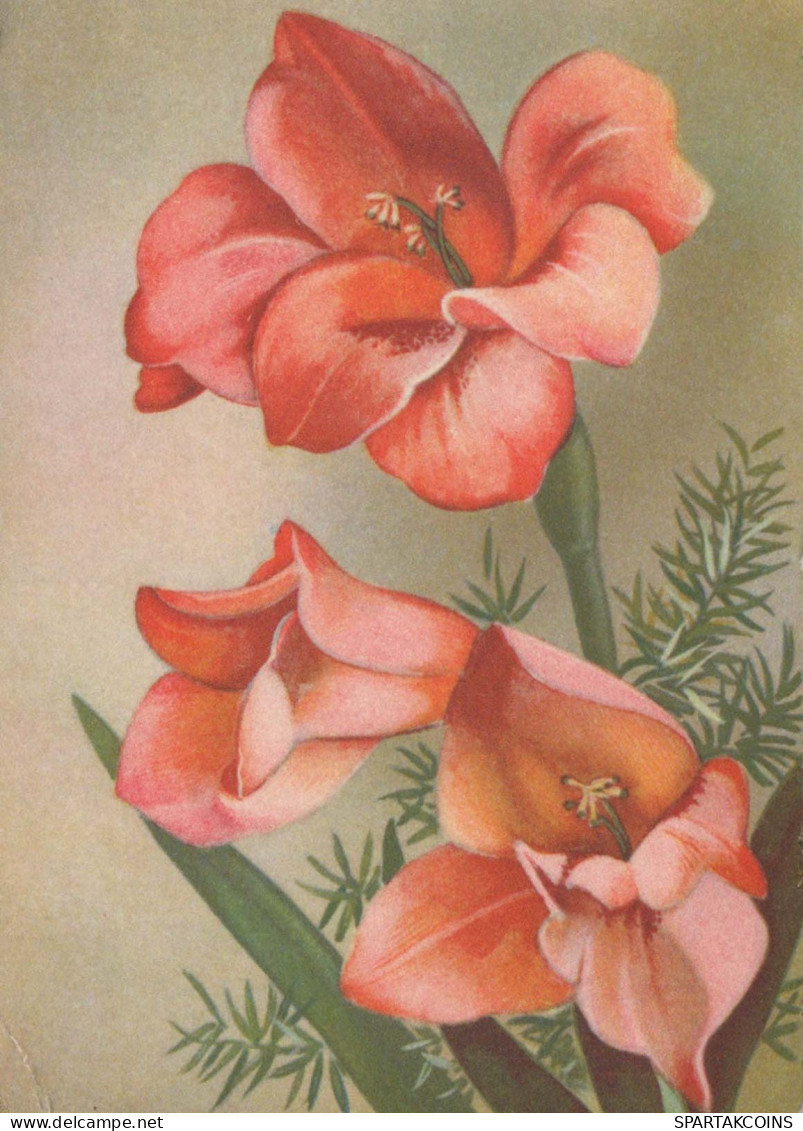 FLOWERS Vintage Postcard CPA #PKE686.GB - Bloemen