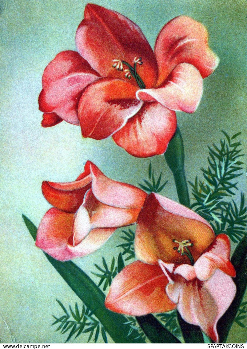 FLOWERS Vintage Postcard CPA #PKE686.GB - Bloemen