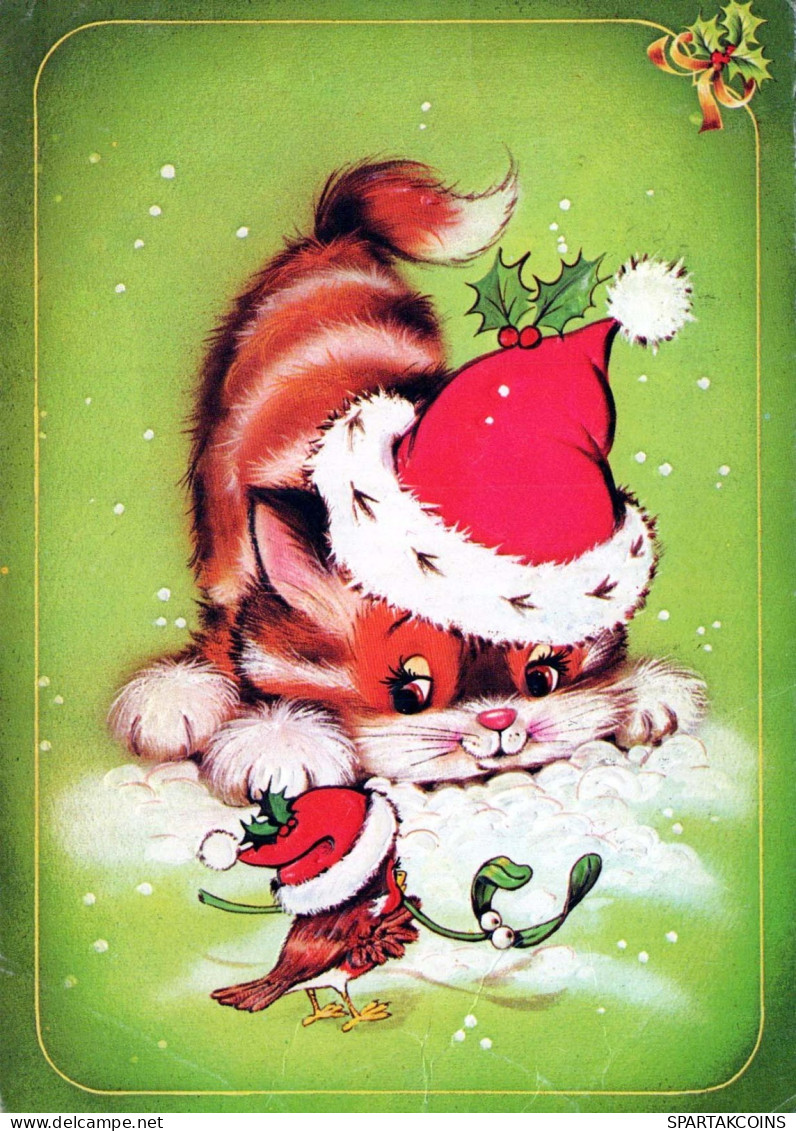 CAT KITTY Animals Vintage Postcard CPSM #PBQ786.GB - Katzen
