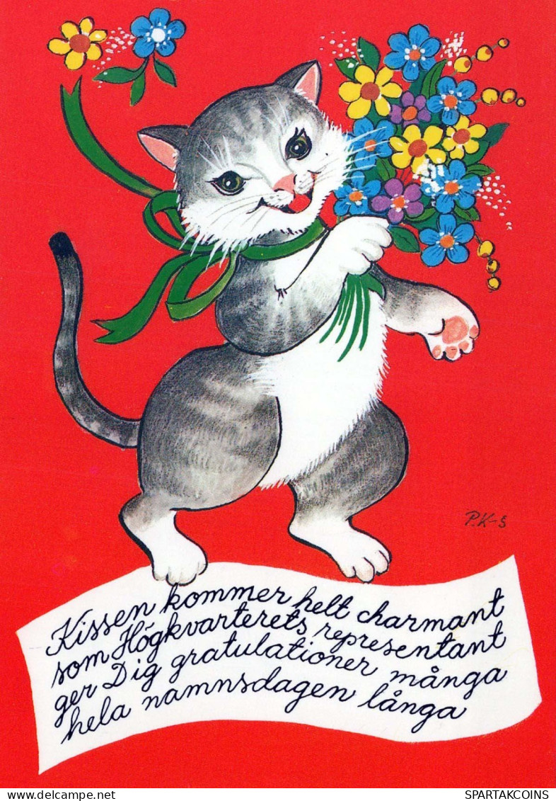 CAT KITTY Animals Vintage Postcard CPSM #PBQ971.GB - Katzen