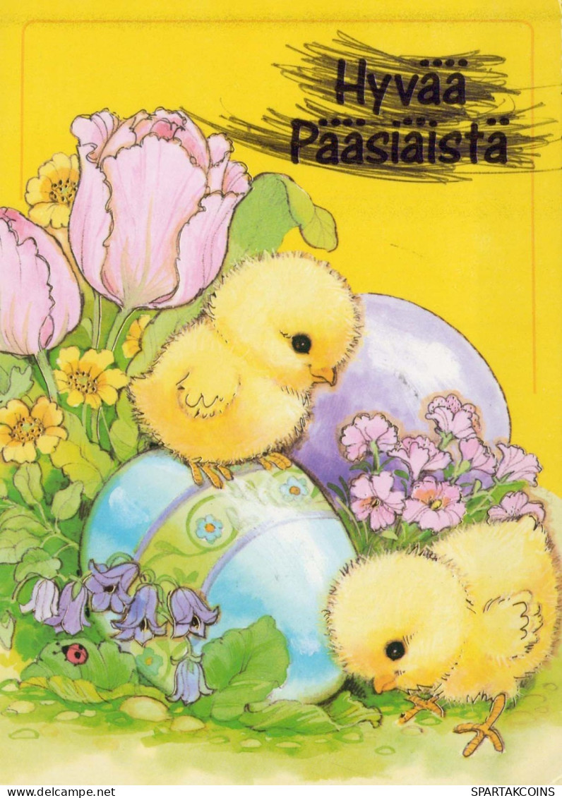 EASTER CHICKEN EGG Vintage Postcard CPSM #PBO738.GB - Ostern