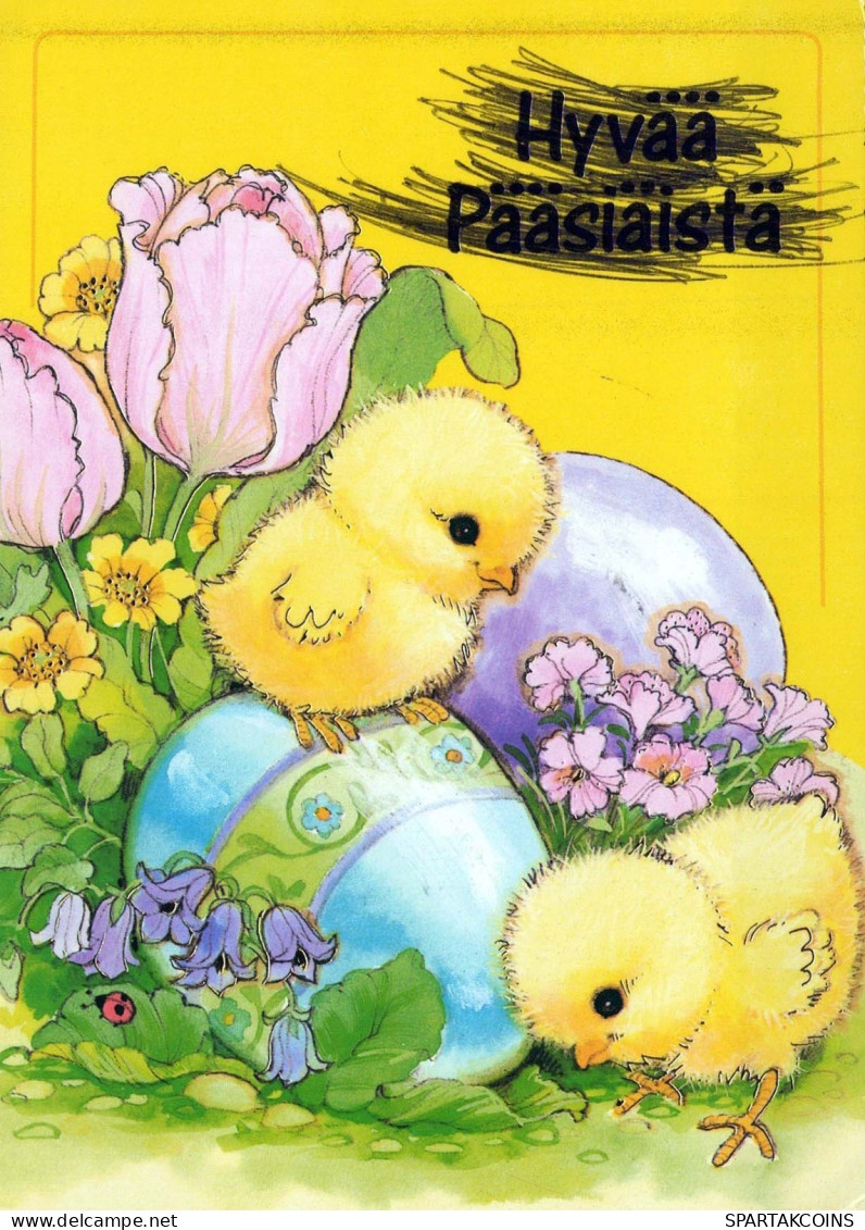 EASTER CHICKEN EGG Vintage Postcard CPSM #PBO738.GB - Ostern