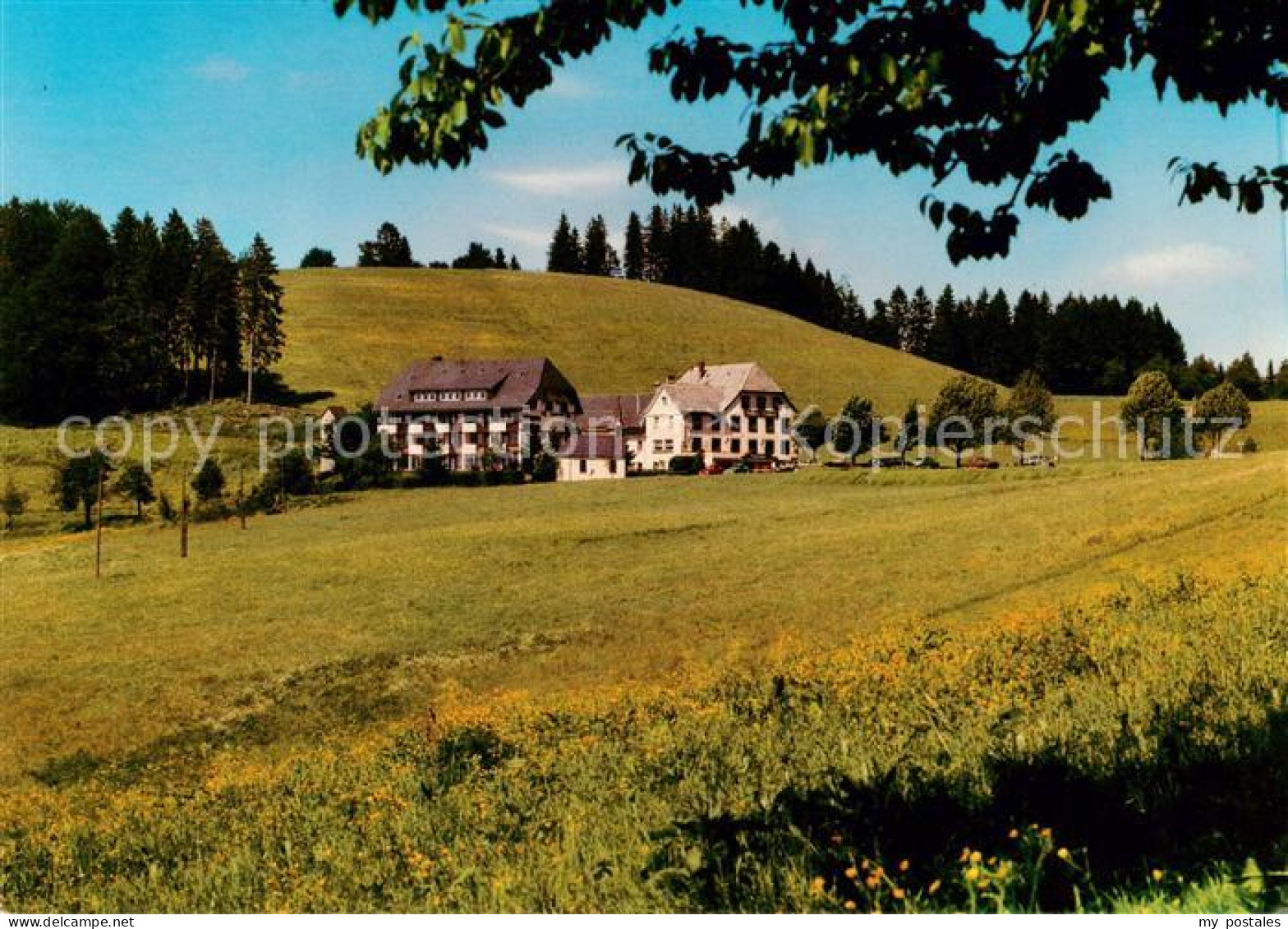 73866026 Neuhaeusle Gasthaus Und Metzgerei Zur Sonne Mit Gaestehaus Neuhaeusle - Other & Unclassified