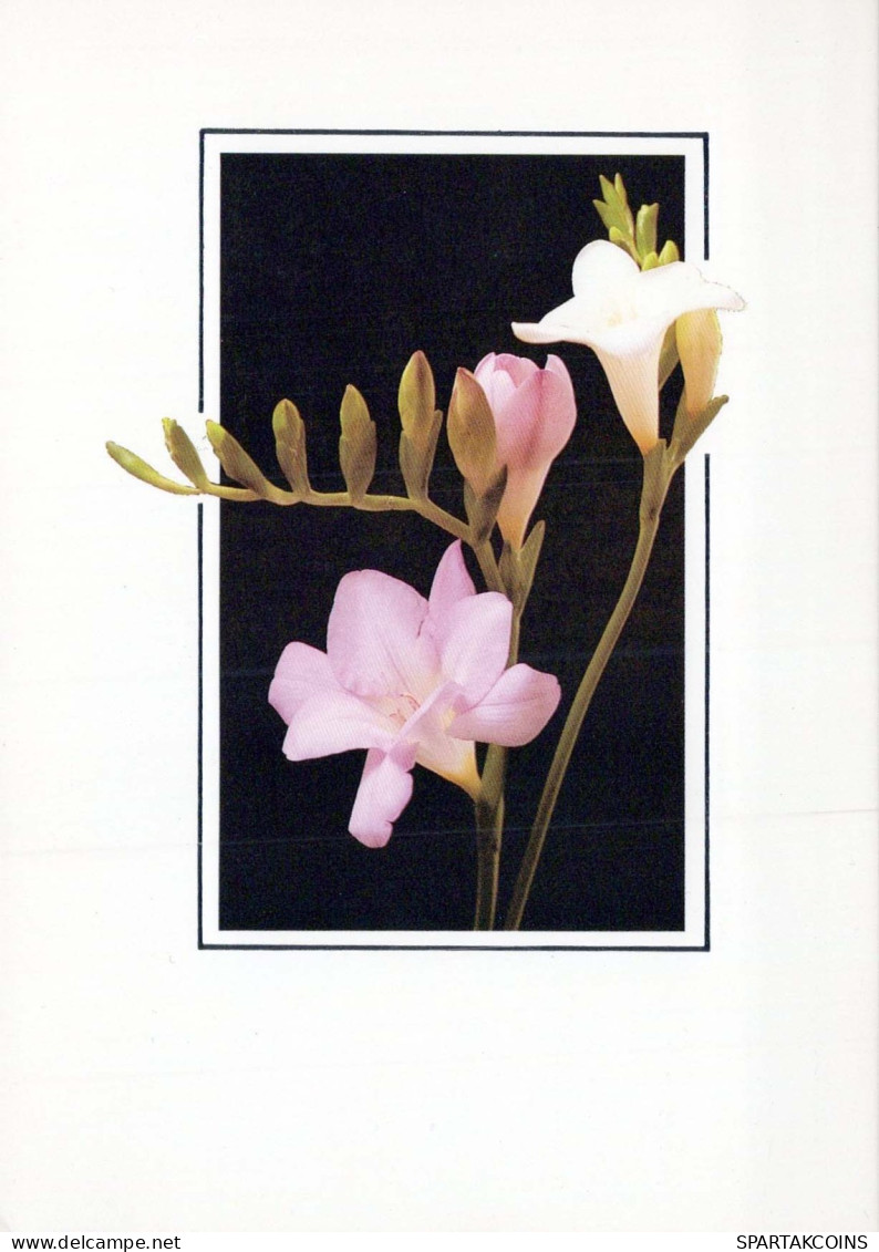 FIORI Vintage Cartolina CPSM #PAR566.IT - Fleurs