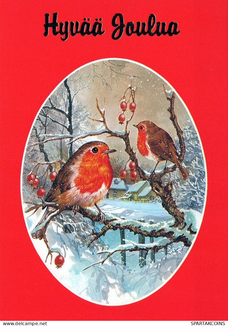 UCCELLO Animale Vintage Cartolina CPSM #PAM941.IT - Birds