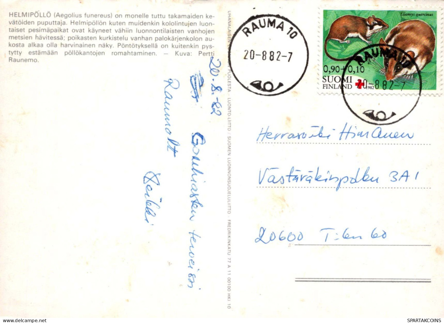 OISEAU Animaux Vintage Carte Postale CPSM #PBR693.FR - Birds